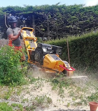 Tree surgeon Grinding a Large Stump