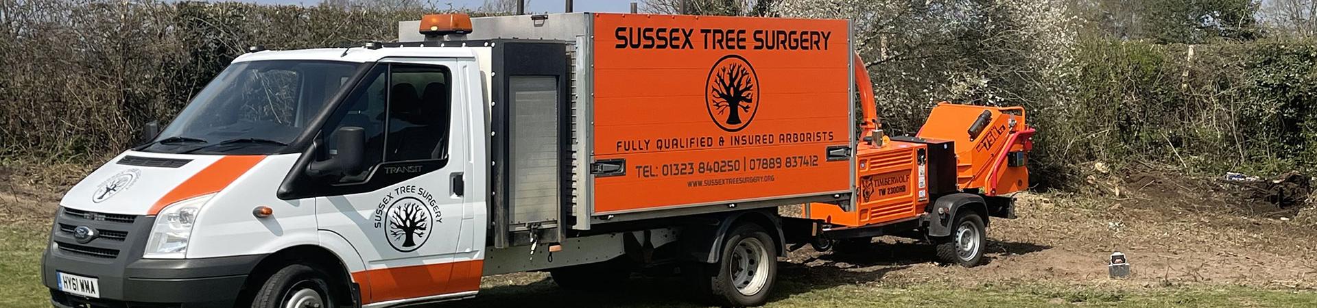 Sussex tree surgery on site carrying out tree works