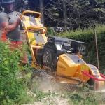 Stump Grinding / Stump Removal in Battle, East Sussex