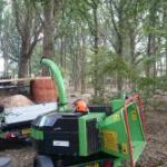 Woodland Maintenance in Bexhill, East Sussex
